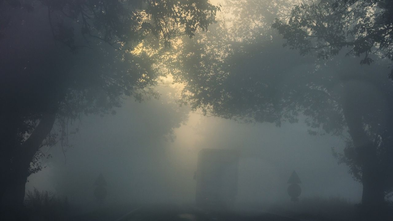 Driving In Fog - driving tips for bad conditions