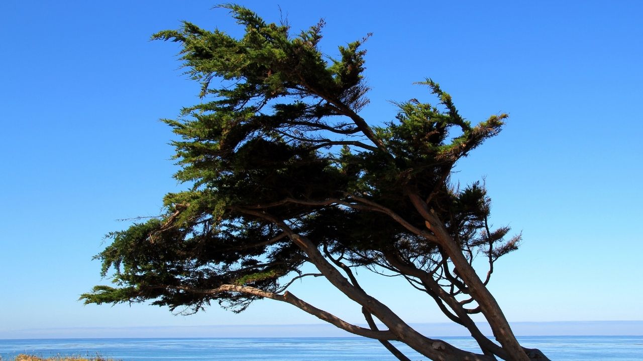 Driving Safely In High Winds - driving tips for bad conditions